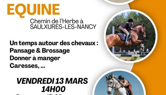 Médiation Equine UVP - Hôtel Club Nancy - EHPAD