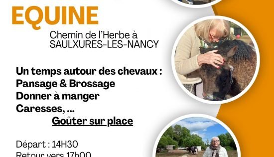 Médiation Equine UVP 2026 - Hôtel Club Nancy - EHPAD